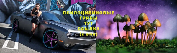 таблы Алзамай