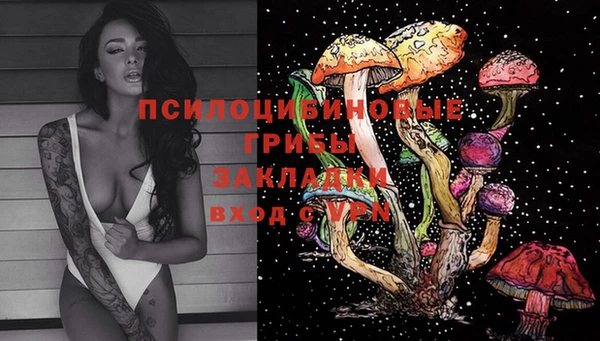 PSILOCYBIN Абдулино