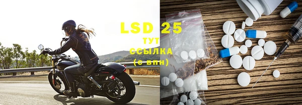 PSILOCYBIN Абдулино