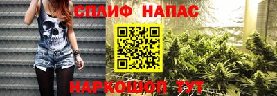 крисы Кинель