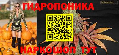 крисы Кинель