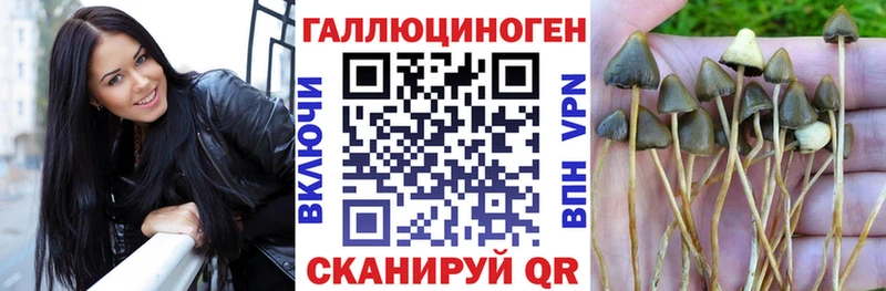 Псилоцибиновые грибы прущие грибы  сколько стоит  Клинцы 